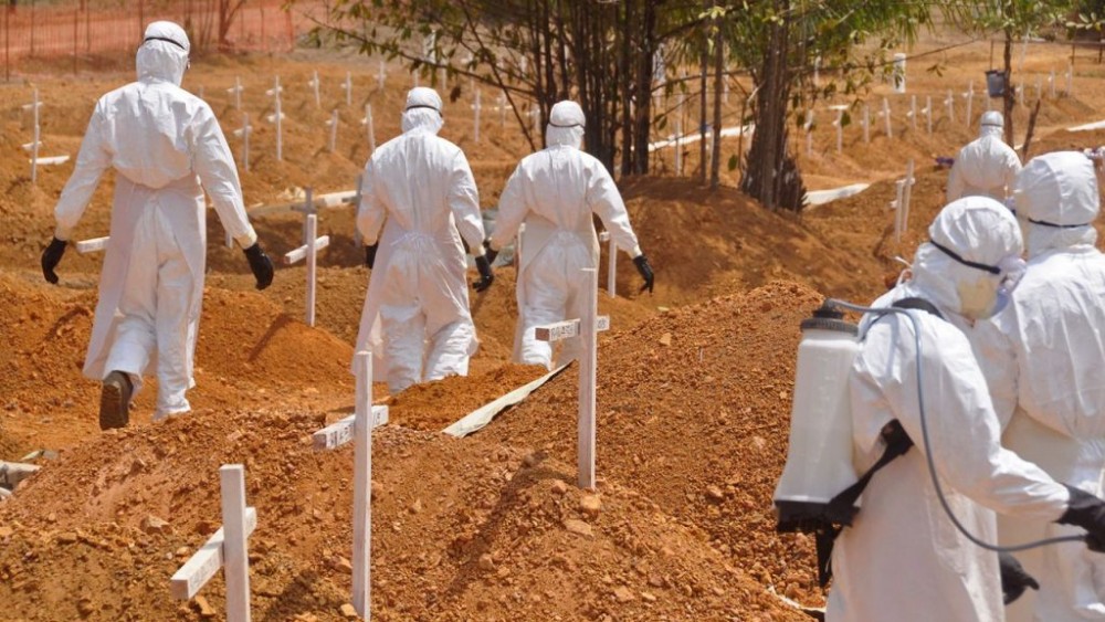 O nouă ameninţare: virusul Marburg, asemănător cu Ebola. Se transmite de la lilieci la oameni